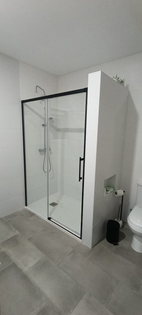 Baño reformado: ducha, mampara y tabique de sanitarios